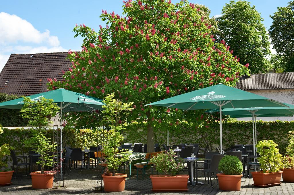 Gasthof Gigl Neustadt an der Donau Extérieur photo
